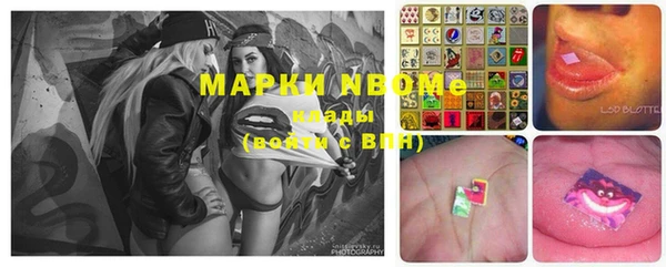 прущие грибы Алексин